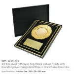 Award-Plaque-with-Gold-Plate-WPL-A3G-BLK-Main-300×300
