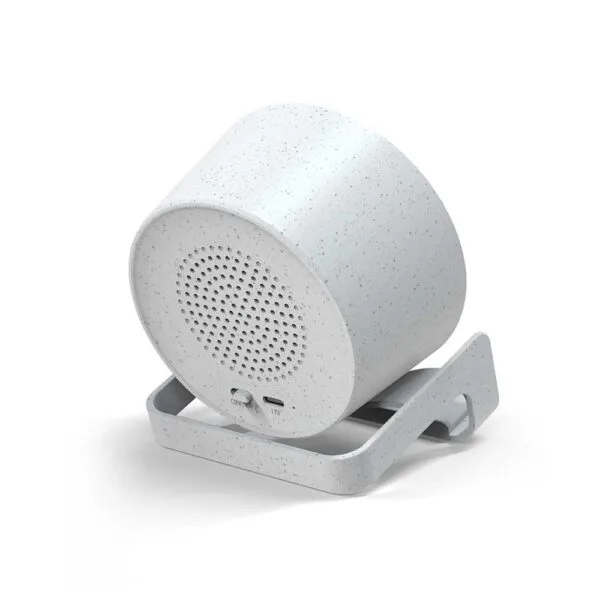 BT Speakers with 10W Wireless Charging & Night Lamp