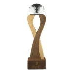 Wooden-Crystal-Trophy-CR-63-Blank-600×600.jpg