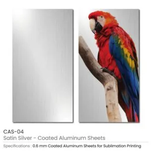 Coated-Aluminum-Sheet-CAS-04-300x300.jpg