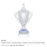 Crystal-Glass-Trophy-Cup-TR-08-Blank-600×600