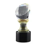 Crystal-Trophy-in-Wooden-Box-CR-60-Blank-600×600.jpg