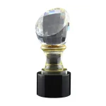 Crystal-Trophy-in-Wooden-Box-CR-60-Blank-600×600.jpg