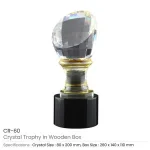 Crystal-Trophy-in-Wooden-Box-CR-60-Blank-600×600.jpg