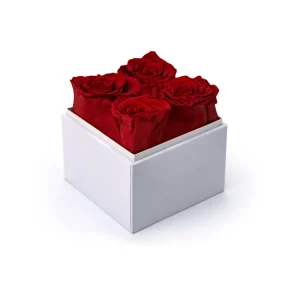 Forever-Rose-Flowers-Gift-Box-FGB-01-WHT-View-2-300x300