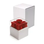 Forever-Rose-Flowers-Gift-Box-FGB-01-WHT-Blank-300×300