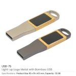 Light-Up-Logo-Metal-with-Bamboo-USB-75-GM-600×600.jpg