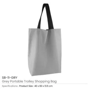 Portable-Trolley-Bags-SB-11-GRY-300x300.jpg