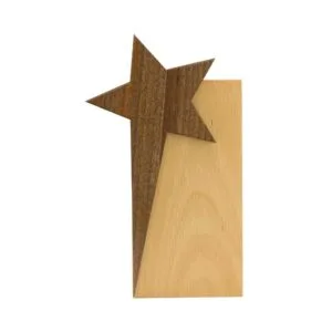 Star-Design-Wooden-Trophy-CR-53-Main-300x300.jpg