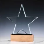 Star-Shape-Crystal-Awards-CR-55-Main-600×600.jpg