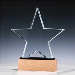 Star-Shape-Crystal-Awards-CR-55-2-300x300.jpg