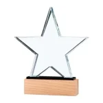 Star-Shape-Crystal-Awards-CR-55-Main-600×600.jpg