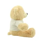Promo-Teddy-Bears-Blank-TB-02-Blank-600×600