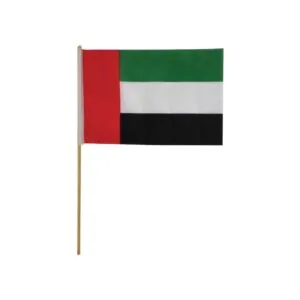 UAE-Flag-A4-Size-UAE-FW-main-t-300x300.jpg