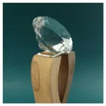 Wooden-Crystal-Trophy-CR-63-Blank-600×600.jpg