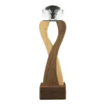 Wooden-Crystal-Trophy-CR-63-Blank-600×600.jpg