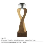 Wooden-Crystal-Trophy-CR-63-Blank-600×600.jpg
