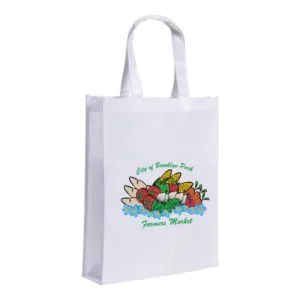 branding-non-woven-bags-nw-sub-6v-300x300.jpg